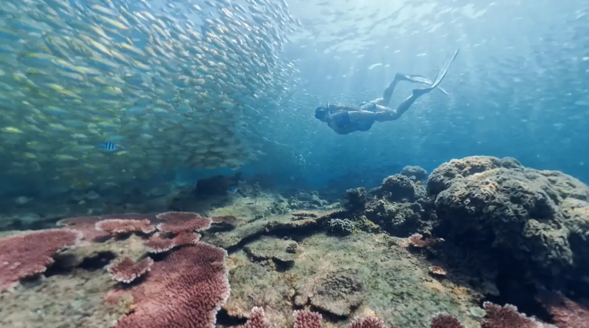 Student on the Discover Freediving 1-day introduction course in Koh Tao