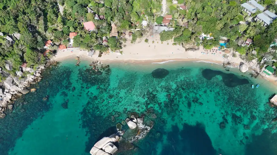 Fish swimming over coral reef in Koh Tao, Thailand